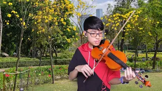盧廣仲-刻在我心底的名字--Brother Suen 小提琴 violin cover
