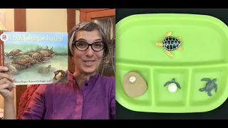 Turtle | Life Cycle | Science | Read Aloud | Story