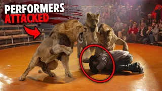 These 3 Exotic Animal Trainers Were RIPPED APART In Front of Audience!
