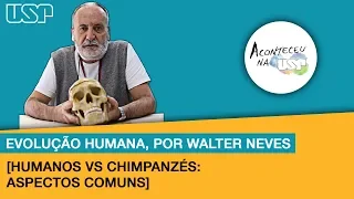 [Evolução Humana] #1 Humanos vs Chimpanzés: aspectos comuns