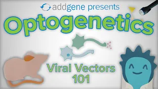 Optogenetics - Viral Vectors 101