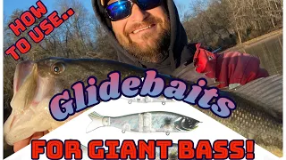 Glidebaits for GIANT Bass; EVERYTHING you NEED to know