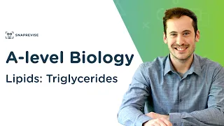 Lipids: Triglycerides | A-level Biology | OCR, AQA, Edexcel