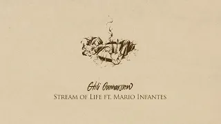 Gísli Gunnarsson - Stream of Life ft. Mario Infantes