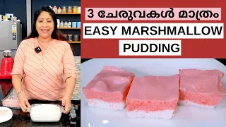 വായിൽ ഇട്ടാൽ അലിഞ്ഞു പോകും ഈ പുഡ്ഡിംഗ് || Easy Marshmallow Pudding || Lekshmi Nair Vlogs