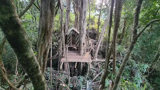 Build a secret shelter in the mystical forest, Bushcraft Alone