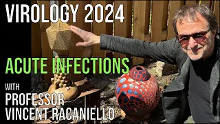 Virology Lectures 2024 #16: Acute Infections