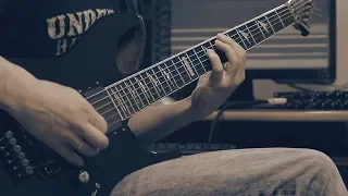 Fly away on the wings of the wind (Guitar Cover)