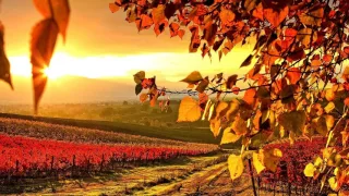 Melodic Progressive House mix Vol 6 (Autumn Colors)