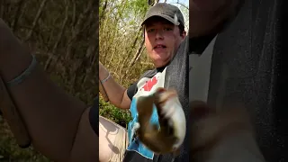 CREEK FISHING SURPRISE!! | Unexpected Catch While Creek Fishing in Mississippi | Freshwater Fishing