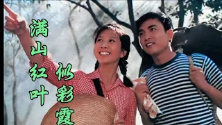 1980年电影《等到满山红叶时》插曲 朱逢博演唱 纯真爱情令人向往