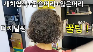 흰머리염색으로 지친 60대를 위한 디지털펌 노하우!/연화를 이해하면 불안함이 사라집니다.