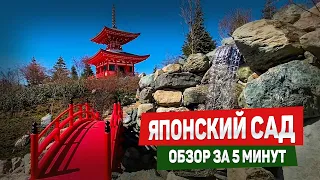 Японский сад Галицкого в парке Краснодар за 5 минут