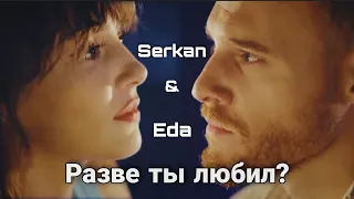 Eda & Serkan || Разве ты любил?