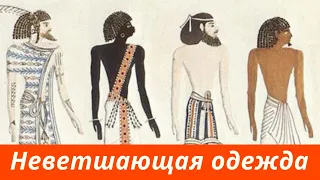 Библейские чудеса. Моисей: как сделать, чтобы и через 40 лет одежда была как новая?