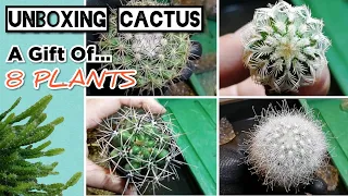 UNBOXING CACTUS Plants | Gift of  8 Plants | 30 MAY 2020