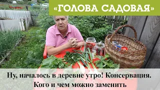 Голова садовая - Ну, началось в деревне утро! Консервация. Кого и чем можно заменить