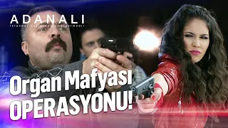 Organ Mafyası Operasyonu | Adanalı Özel Kolaj