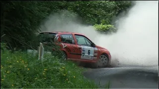 Best of Rallye 2018 | Crash - mistakes - show |