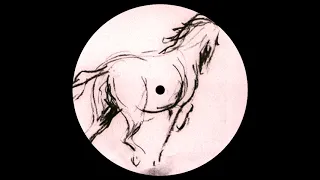 Kirik & Alia Palant - Wild Horse