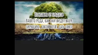 Послание от предков Вашего рода. Как они видят вашу ситуацию, какой хотят дать совет!