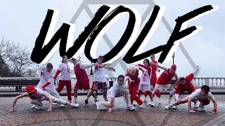 [ONESHOT VER.] EXO 엑소 - 늑대와 미녀 WOLF  | 커버댄스 | Cover dance by PHOENIX