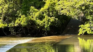 【大戸の洗い越し】川の中にある道路と夷隅川の水音　A road in the river and the sound of the Isumi River