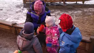 Hvordan fungerer en norsk barnehage Norsk