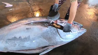 Over 300 kg Giant Bluefin Tuna Cutting Skills, Tuna Belly Sashimi  黑鮪魚切割技能 - Fish Market in Taiwan