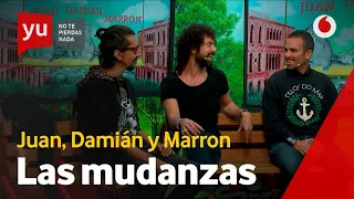 Las Hormigas y la espiral de desesperación que son las mudanzas #yuAntonioOrozco