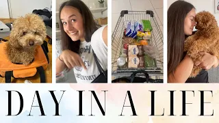 A DAY IN MY LIFE (vlog) - SHOPPING - SOCIAL ANXIETY - CLEANING AND ORGANIZING