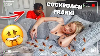 COCKROACH PRANK ON GIRLFRIEND!!! *HILARIOUS* | VLOGMAS DAY 4