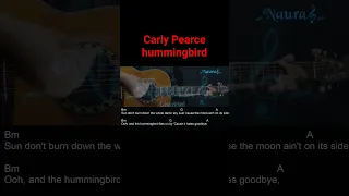 Carly Pearce - hummingbird Guitar Chords Lyrics #shorts