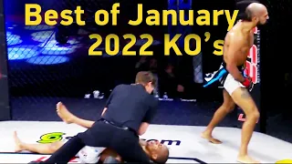 MMA's Best Knockouts of the January 2022, HD