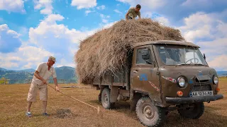 Перевозка сіна на машині УАЗ в Карпатах. Як гуцули сіно звозили з високогір'я. Заготовка сіна