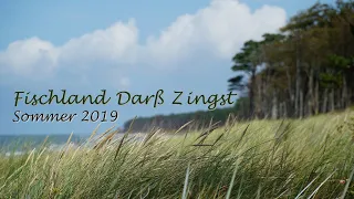 Fischland Darß Zingst | Landscape Video