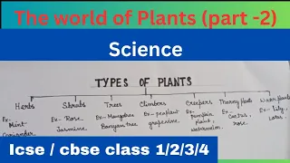 Types of plants| The world of plants| Science| start up science|icse | cbse| icse