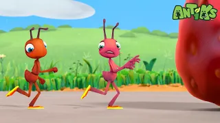 Hotshots | ANTIKS | Moonbug Kids - Funny Cartoons and Animation