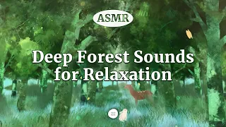 [ASMR] Meditation Music with Forest Ambience (Nature Sound for relaxation, for Stress Relief)