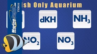 Aquarium Test Kits: Parameters to Test for in Fish-Only and Reef Tanks