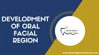 Development of the Oral Facial Region | Pharyngeal Arches