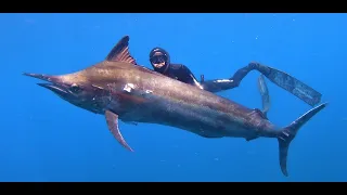 Spearing a 142kg Black Marlin on Reel Guns