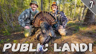 PUBLIC LAND GOBBLER DOWN!!! - (Afternoon Turkey Hunting!)