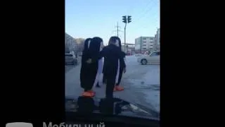 Пингвины на пешеходном переходе в Сургуте