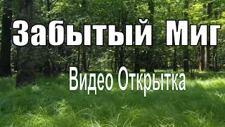 Музыкальная видео открытка Забытый Миг Красивая музыкальная открытка