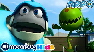 Fearsome Flora | Moonbug Kids TV Shows - Full Episodes | Cartoons For Kids