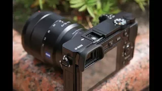 обзор sony a6000 в компании sony дауны ? что это за хрень ?