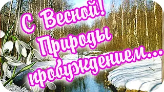 Доброе утро! ❤️С Весной! ❤️Природы пробуждением! ❤️Желаю весеннего настроения!❤️Good morning!❤️