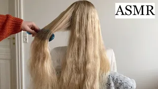 ASMR | 1 HOUR Hair Brushing *guaranteed sleep* 🤎 (no talking)