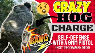 FULL BLOWN HOG CHARGE - Pigman Goes Gangster and Drops Feral Hog at Point Blank with 9mm Pistol!!!